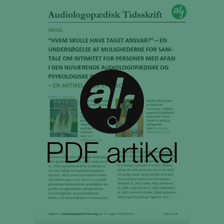 Hvem skulle have taget ansvar?